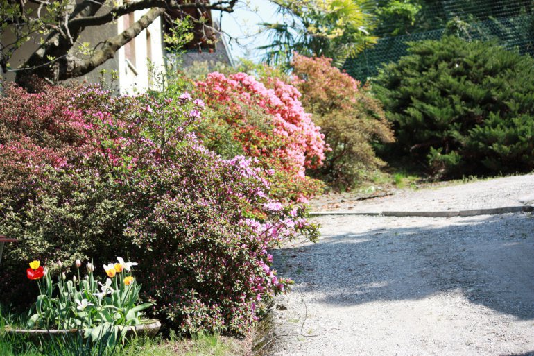 Garten galerie 2