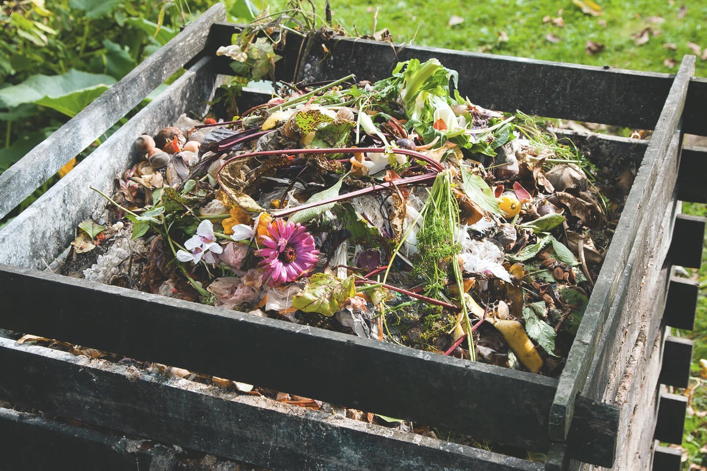 Warum sich ein Komposthaufen im Garten lohnt Aroundhome